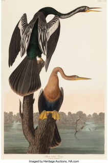 John James Audubon